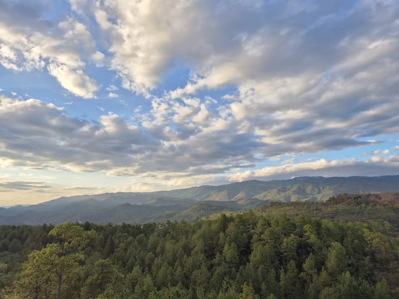 Vista panorámica de montañas y bosque de pino desde la eco-finca